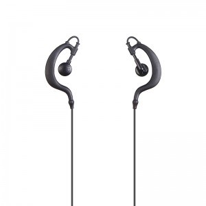 Ear-hook Type